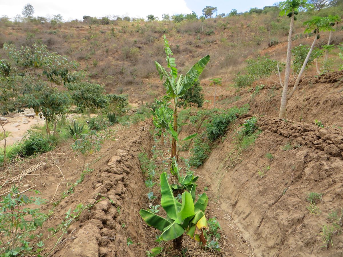Déploiement 4x4 en zone enclavée